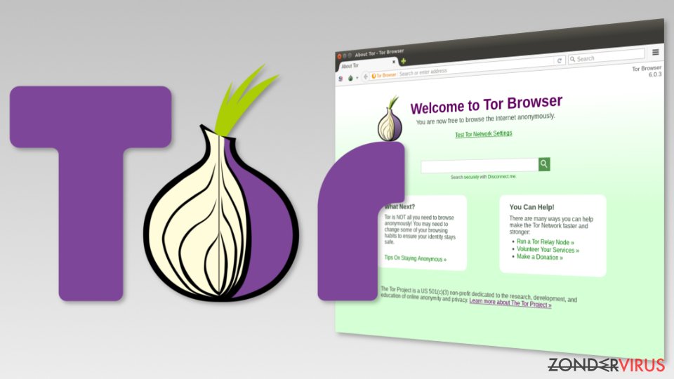 Image of Tor browser