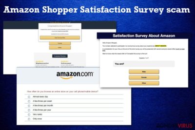 Amazon Shopper Satisfaction Survey scam