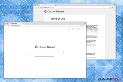 Chromesearch.net afbeelding