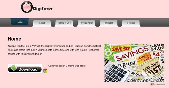 DigiSaver snapshot DigiSaver snapshot