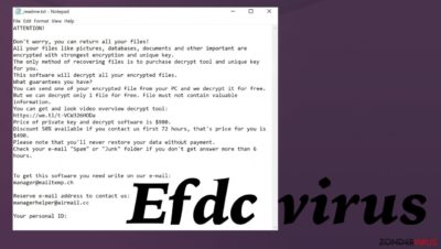 Het Efdc-bestandsvirus
