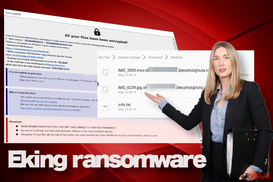 Het Eking ransomware virus