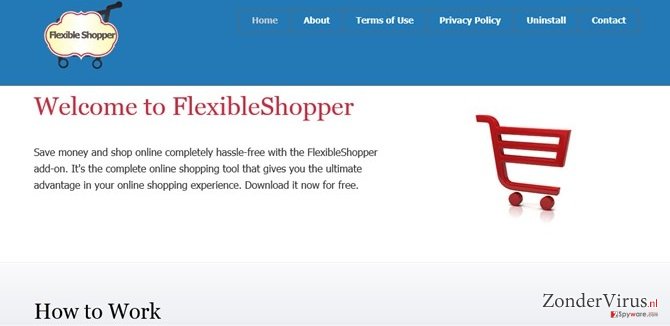 FlexibleShopper ads snapshot FlexibleShopper ads snapshot