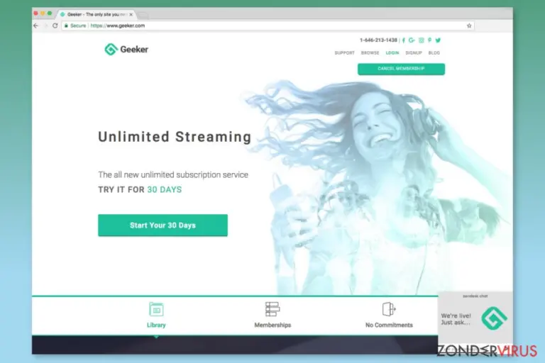 Screenshot of Geeker.com website