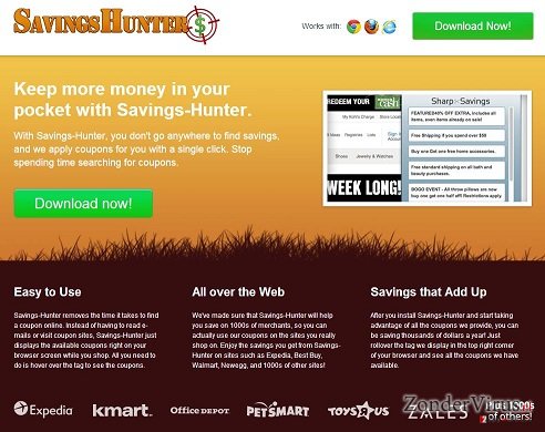 Savings Hunter snapshot Savings Hunter snapshot