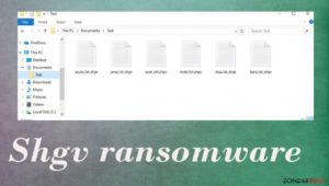 Shgv ransomware