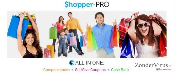Shopper Pro snapshot Shopper Pro snapshot