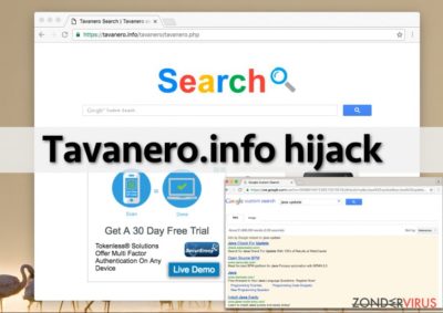 Tavanero.info virus