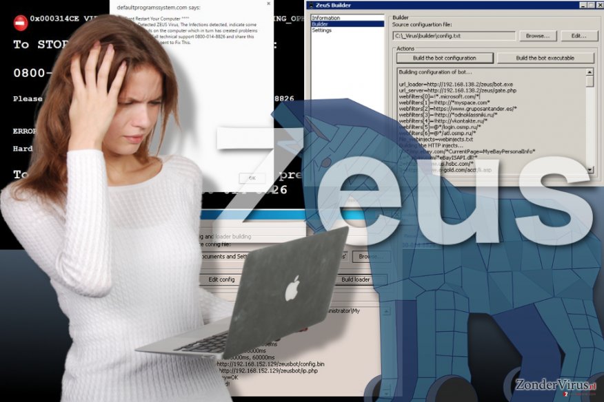 Afbeelding van het Zeus-virus Afbeelding van het Zeus-virus